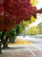 Autumn 2006