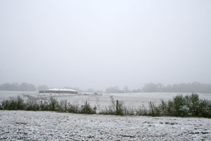 0810ch01t.jpg (5493 bytes)