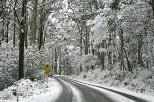 Snowchasing the Central Ranges - 10/8/08