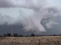 "Last of Summer" Chase - 27th February 2003 - Andrew McDonald