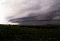 arcus1t.JPG (2077 bytes)