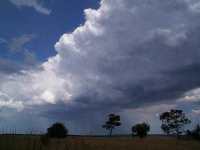 January 26, 2002 - West Gippsland - Jane ONeill