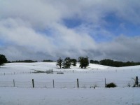 East Trentham - C Herbert