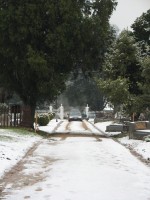 Woodend Cemetery - C Herbert