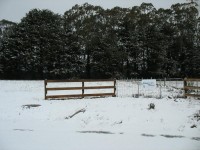 Trentham - C Herbert