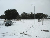 Trentham - C Herbert