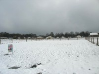 Trentham - C Herbert