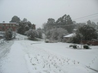 Woodend - C Herbert