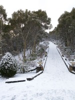 Mt Macedon - Darren Davis