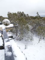 Mt Macedon - Darren Davis