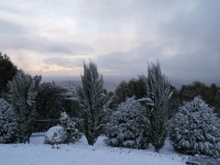 Mt Macedon - Darren Davis