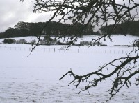Straws Lane - J ONeill