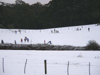 Straws Lane - J ONeill