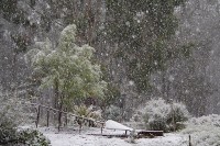 West of Woodend - Mark Lamble