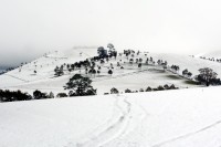 Gordon (nr Ballarat) - S Smits