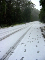 Victorian Snow - 14th June, 2003 - Jane ONeill
