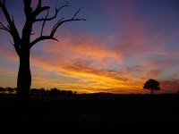 Autumn in Victoria