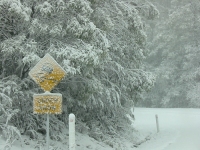Victorian Snow - 14th September, 2003 - Jane ONeill