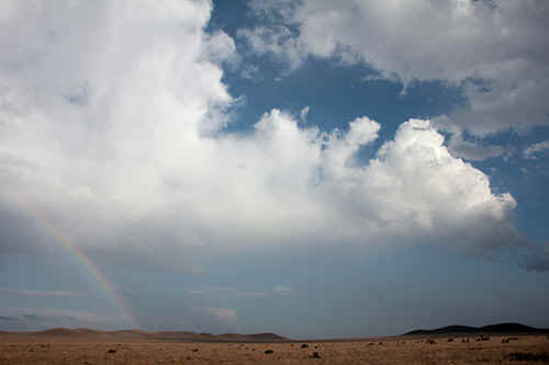 Stormchase Day 24: 15th May, 2010: Texas