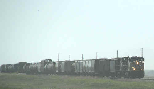 26412JON081s.jpg (38428 bytes)