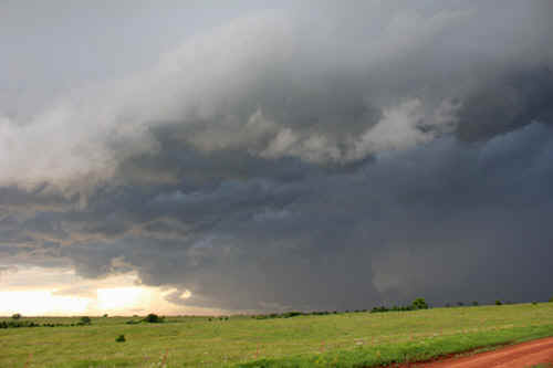 1905ch049t.jpg (46676 bytes)