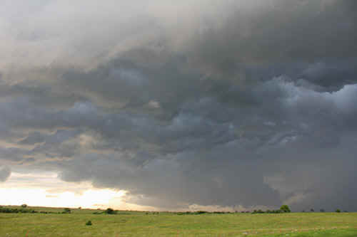 1905ch054t.jpg (44699 bytes)