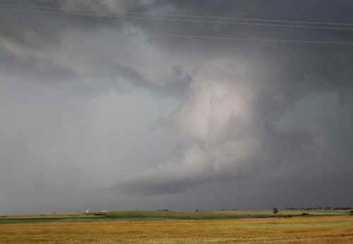 1905jon060t.jpg (42287 bytes)