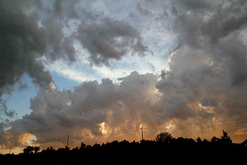 1905jon336t.jpg (58123 bytes)