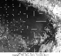 10030738csirovict.gif (35468 bytes)