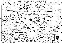 250hPaOct04-0900t.gif (3089 bytes)