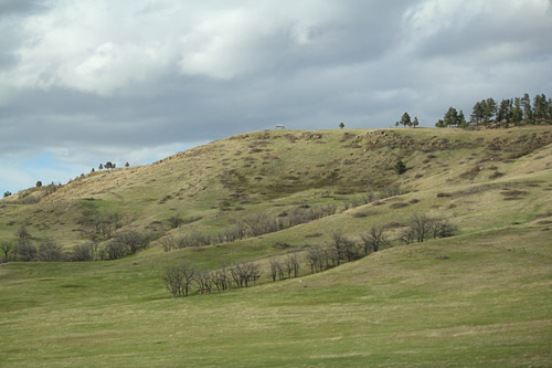 0405jon268t.jpg (70025 bytes)