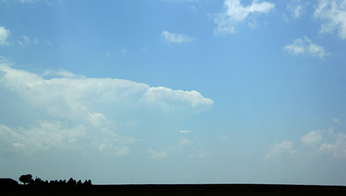 1005jon083t.jpg (36974 bytes)