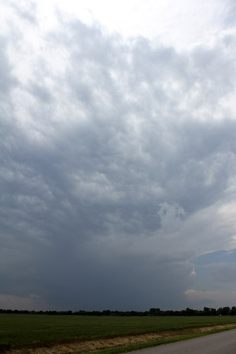 1005jon103t.jpg (44995 bytes)