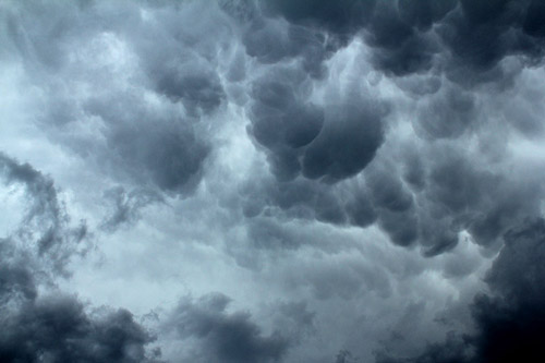 2204jon196t.jpg (51404 bytes)