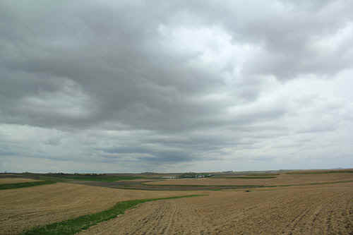 2404jon059t.jpg (51776 bytes)