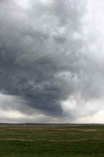 2804ch047tr.jpg (48118 bytes)