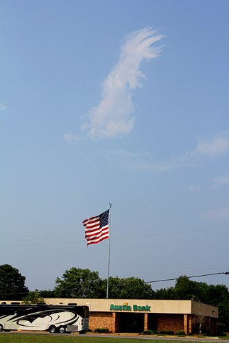 0105jon038d.jpg (50633 bytes)