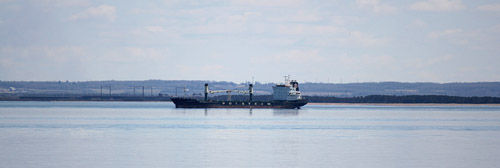 0305jon089d.jpg (33873 bytes)