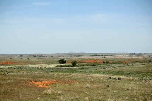 0605jon119d.jpg (66551 bytes)