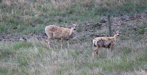 0905jon061d.jpg (94662 bytes)