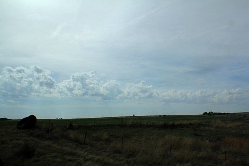 1105jon201d.jpg (46033 bytes)