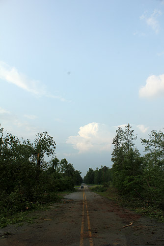2704ch036d.jpg (58691 bytes)