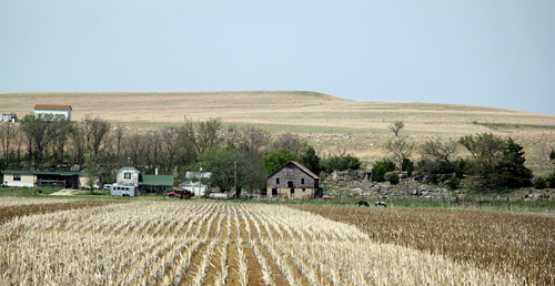 2904jon117d.jpg (74860 bytes)
