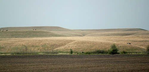 2904jon119d.jpg (48709 bytes)