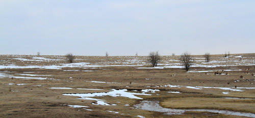0203JON051t.jpg (59885 bytes)