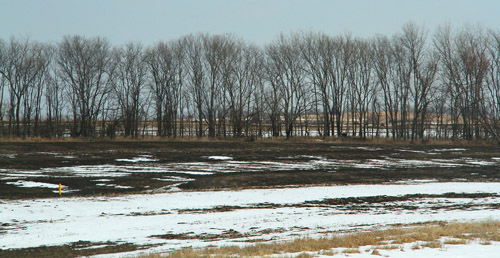 0403JON082t.jpg (90078 bytes)