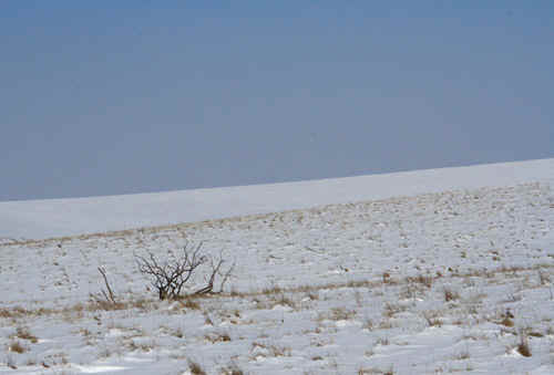 230213JON193t.jpg (65618 bytes)