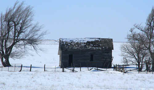 230213JON316t.jpg (79789 bytes)