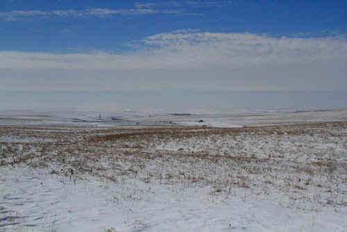240213JON379t.jpg (70779 bytes)